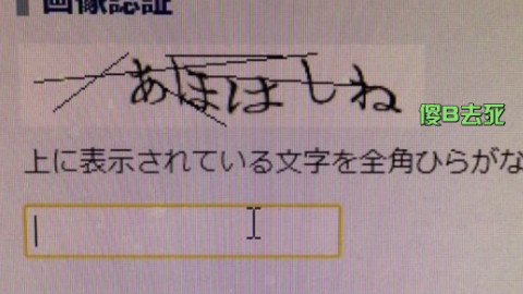 迷之验证码 从照片那头传来的恶意@油兔不二字幕组